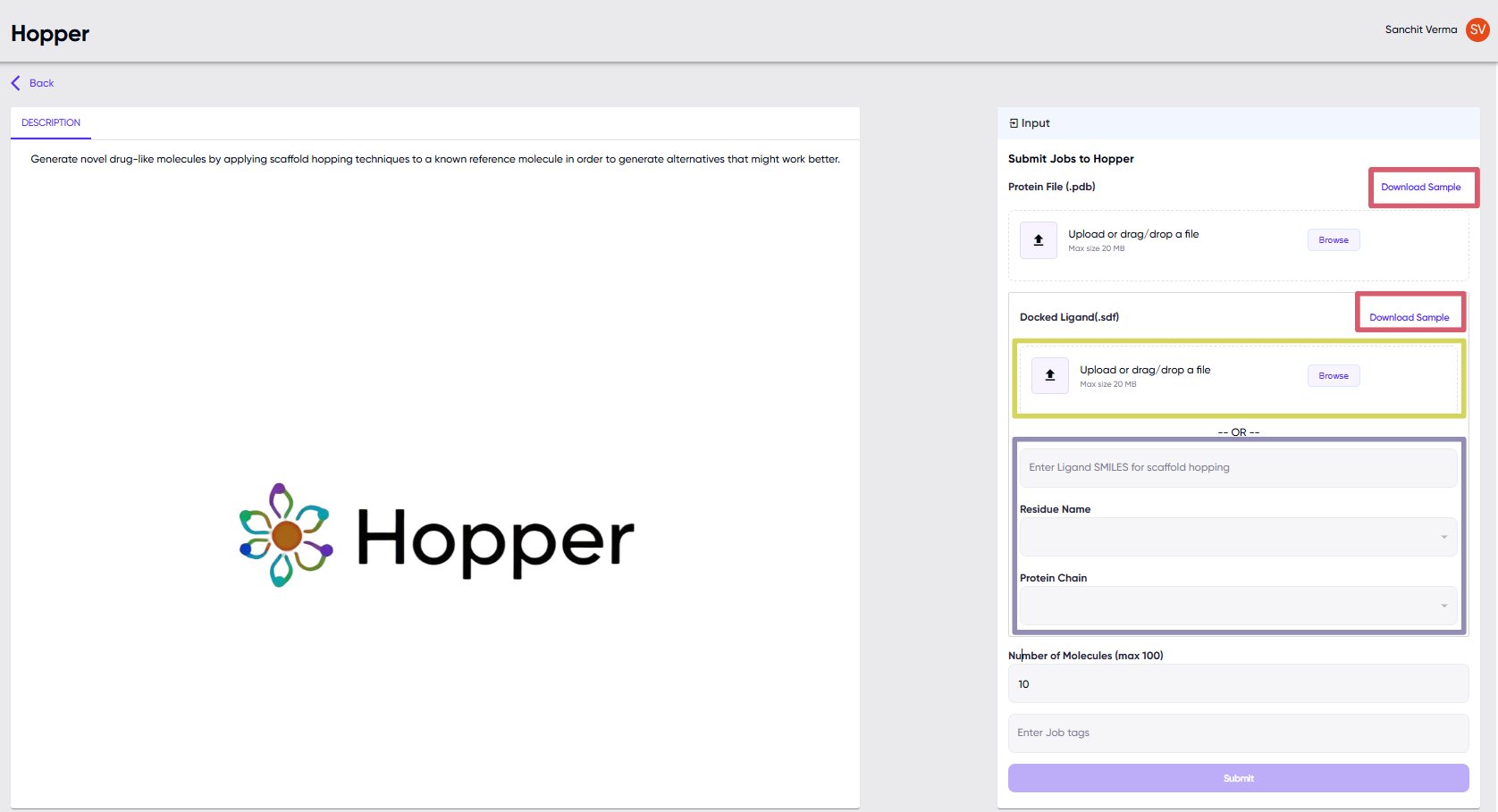 MoleculeGEN Hopper User Inputs