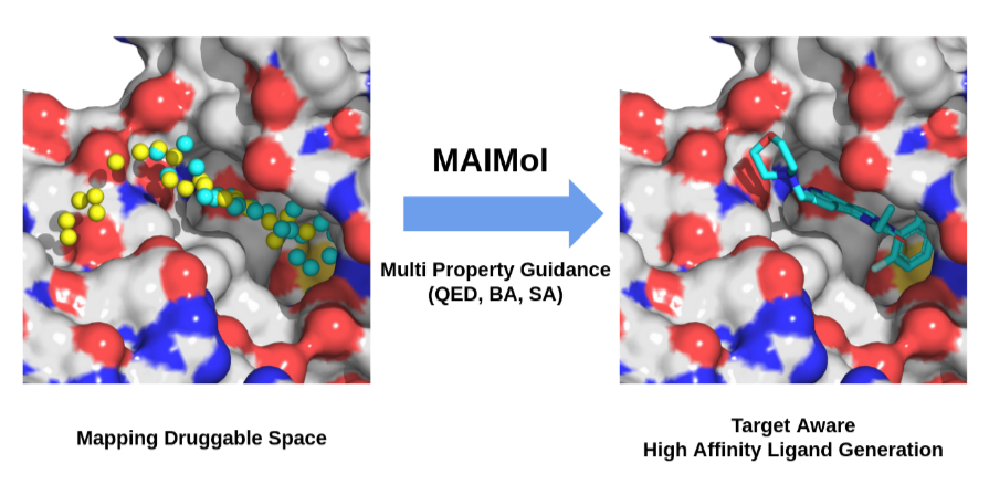 MoleculeGEN maimol Image